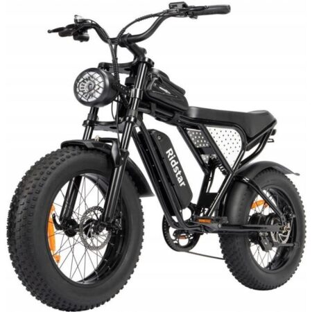 Ridstar Q20 Vélo Électrique - 1000W - Batterie Amovible 48V-15Ah - 7 Vitesse SHIMANO - Roue 20’’Gros Pneu