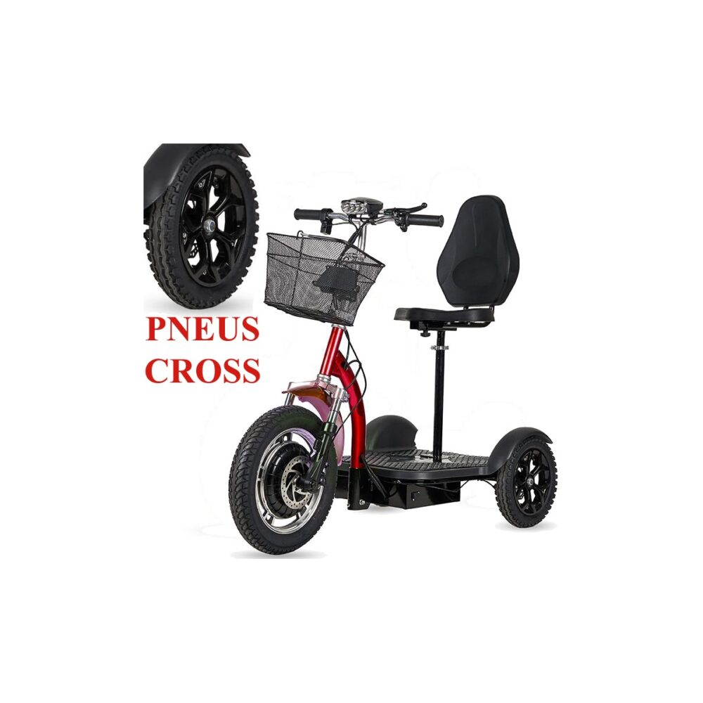 TRIBO 500 Trottinette électrique 3 roues stable pour séniors et PMR stable