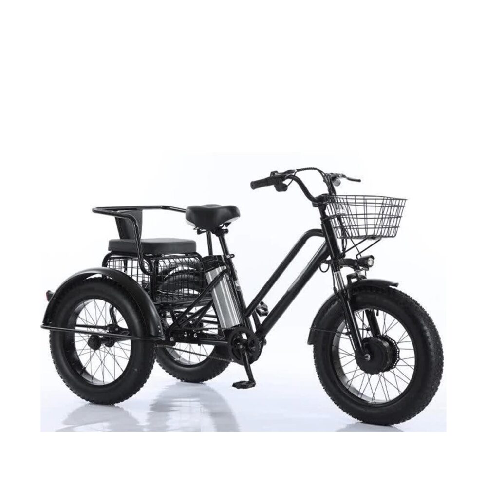 Tricycle fatbike cross 2 places pour personne à mobilité réduite 500 watts