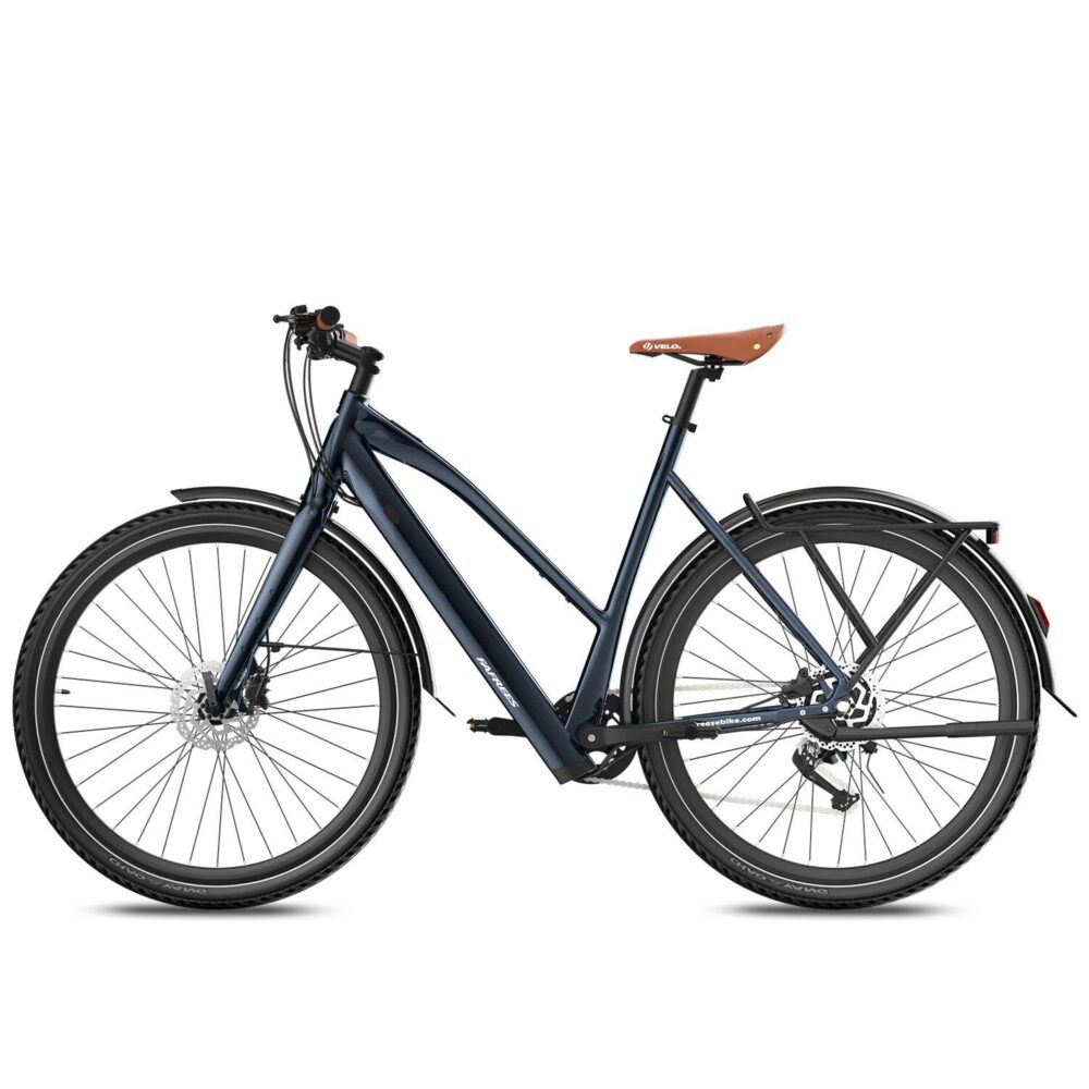 Vélo électrique adulte F700W, moteur 250W, batterie 36V 10Ah, 9 vitesses, 25km/h