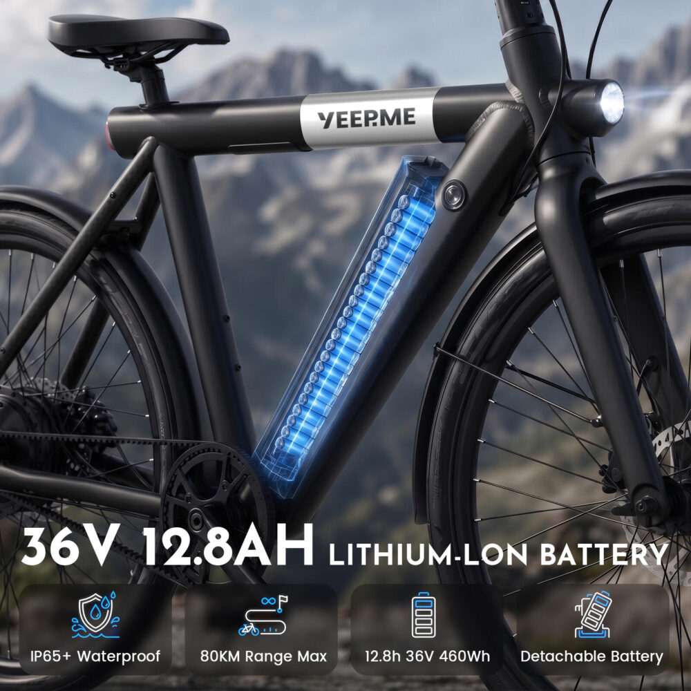 Vélo électrique DAY SPORT RC Noir 28'' 80km 460Wh Courroie, PB AR