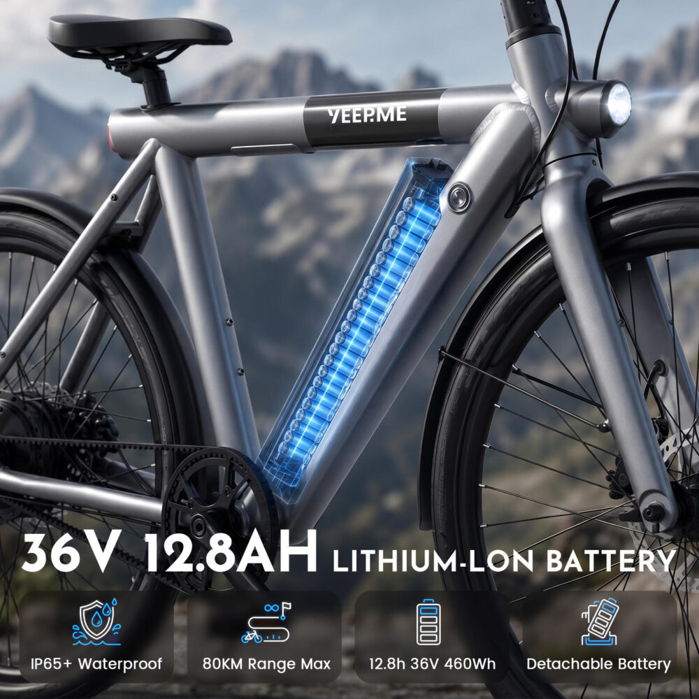 Vélo électrique DAY SPORT RC Gris 28'' 80km 460Wh Courroie, PB AR