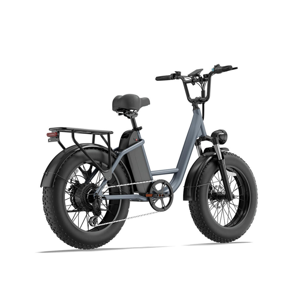 Vélo électrique URLIFE E20 Pro avec batterie 48 V 15,6 Ah et écran LCD