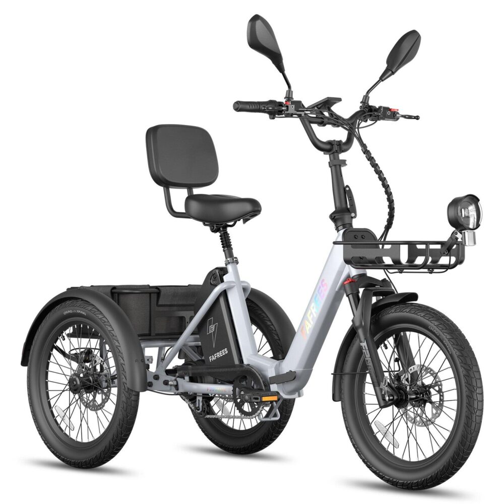 Tricycle Électrique F20 Mate II 48V 25Ah Freins Hydrauliques Paniers 180kg