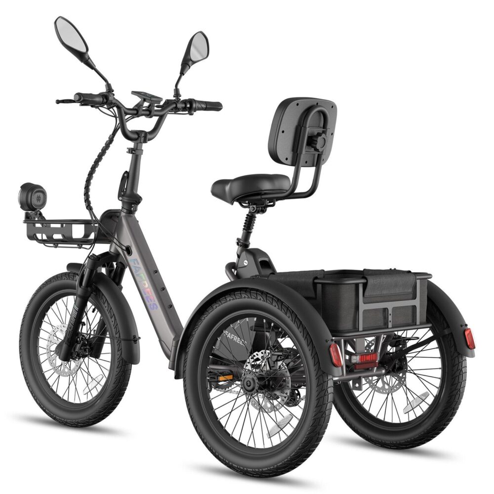 Tricycle Électrique F20 Mate II 48V 25Ah Freins Hydrauliques Paniers 180kg