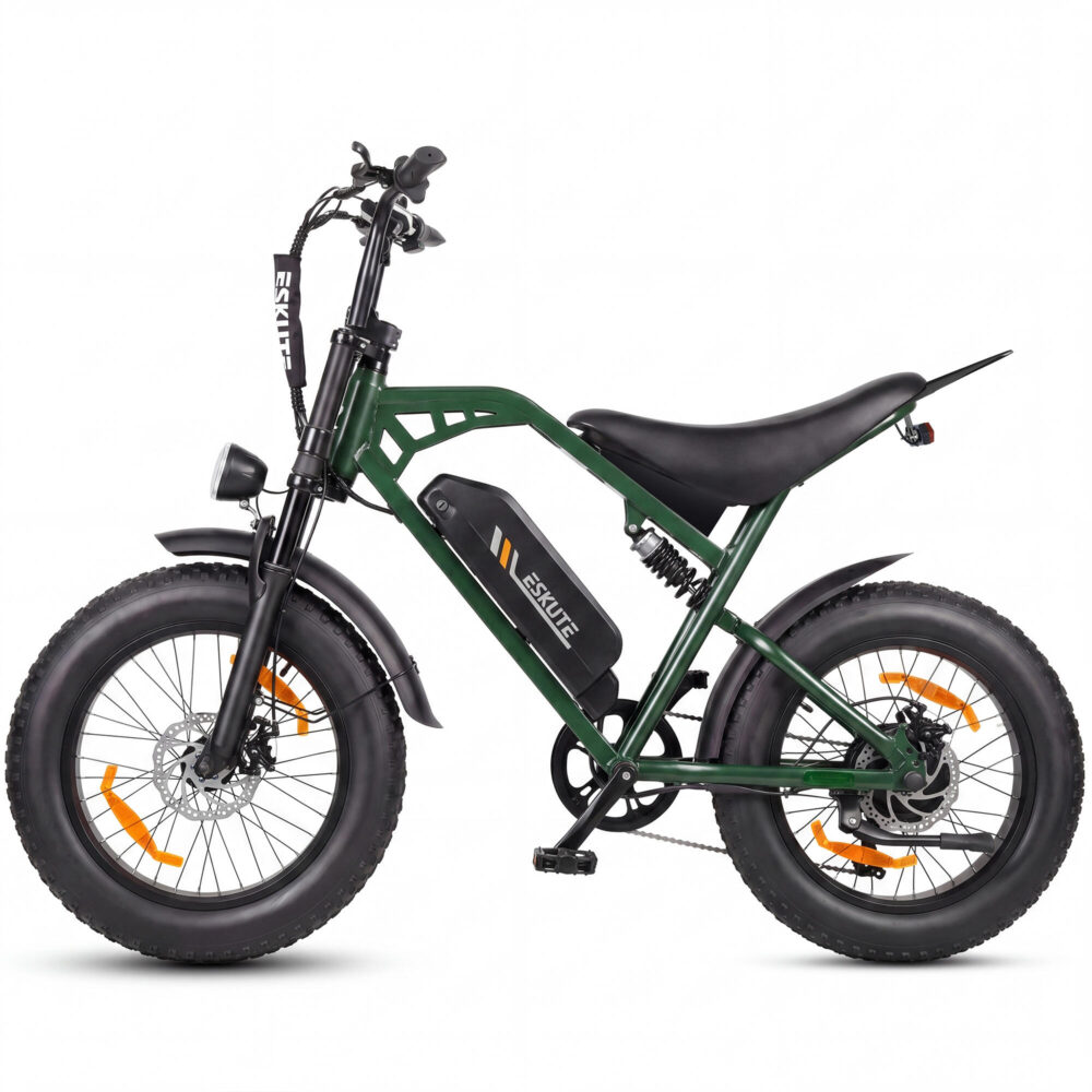 Vélo électrique ESKUTE V202 pour homme avec batterie 48 V 20,8 Ah