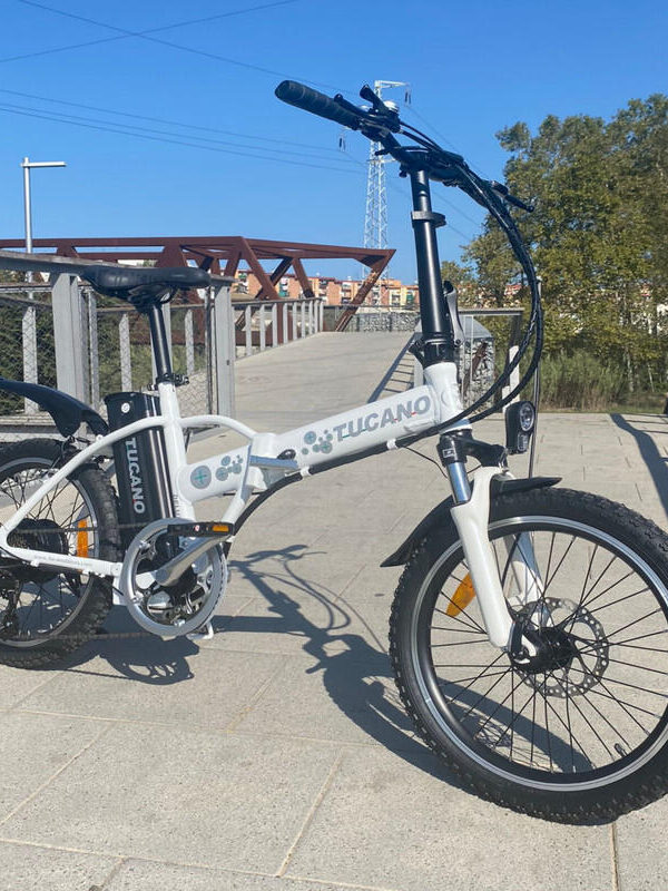 Vélo électrique DeLuxe 250W-36V Blanc Brillant