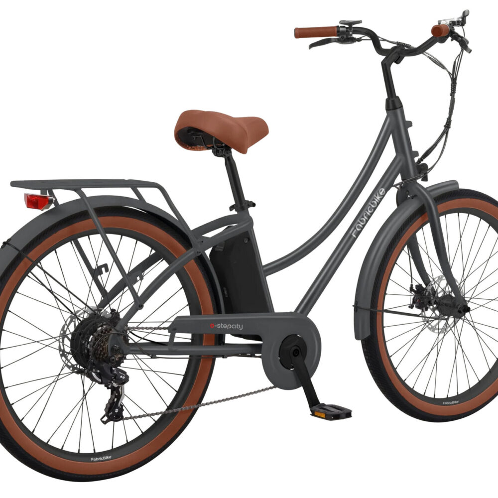 E-Stepcity Vélo Électrique - 250W, 36V, 60 km, Shimano 7V. Graphite