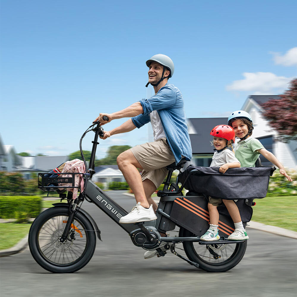 Vélo électrique ENGWE LE20 avec moteur central de 250 W,48 ​​V, 19,2 Ah