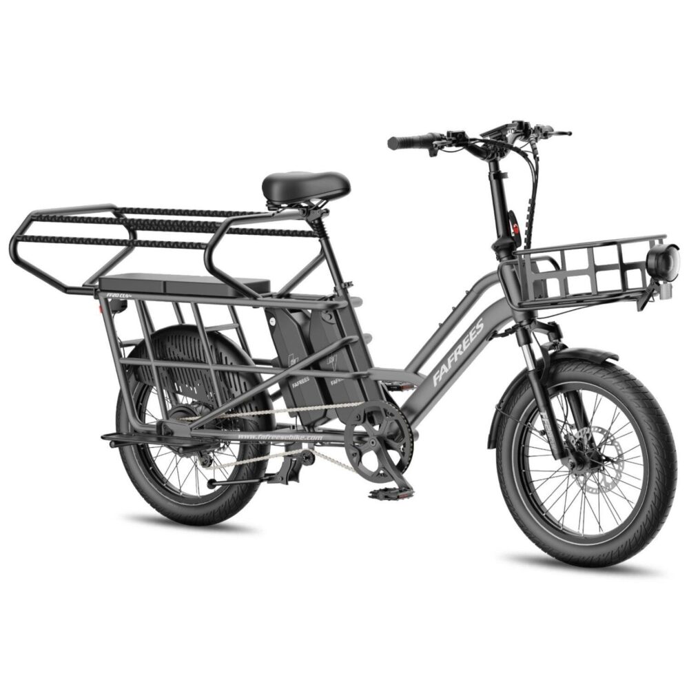 FAFREES FF20 CUV Vélo Électrique 250W 48V24Ah 20" Freins Hydrauliques Gris