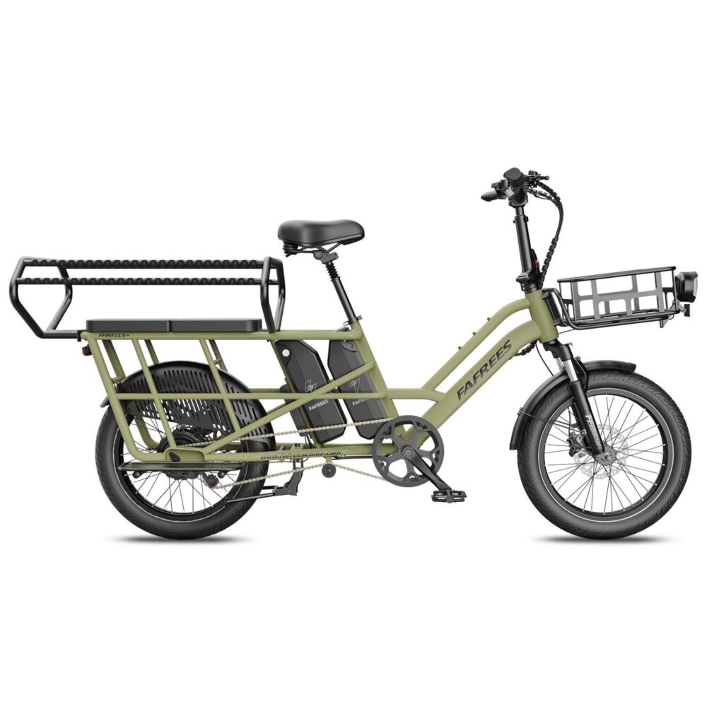 FAFREES FF20 CUV Vélo Électrique 250W 48V24Ah 20" Freins Hydrauliques Vert