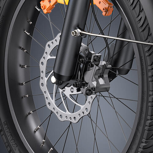 Vélo cargo électrique ENGWE LE20 250 W avec batterie 48 V 19,2 Ah