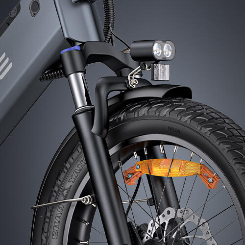 Vélo cargo électrique ENGWE LE20 250 W avec batterie 48 V 19,2 Ah – Image 4