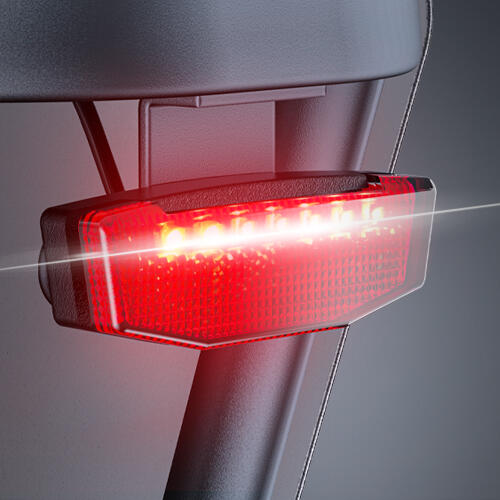 Vélo cargo électrique ENGWE LE20 250 W avec batterie 48 V 19,2 Ah – Image 5