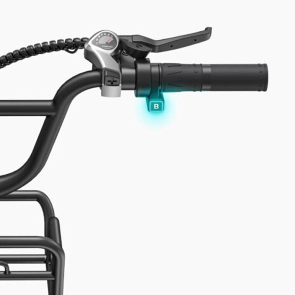 Vélo électrique ENGWE L20 BOOST, moteur 250 W, batterie 48 V 13 Ah