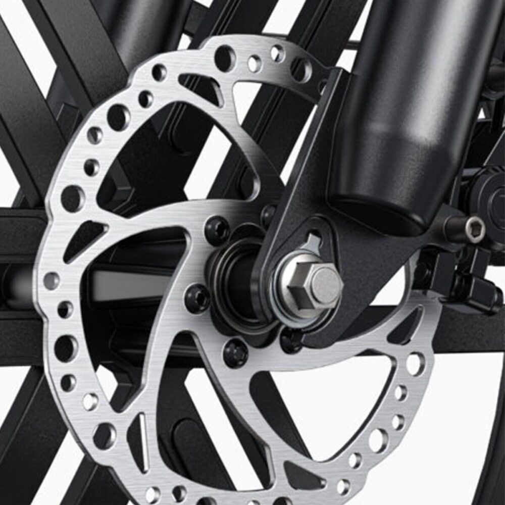 Vélo électrique ENGWE L20 BOOST, moteur 250 W, batterie 48 V 13 Ah