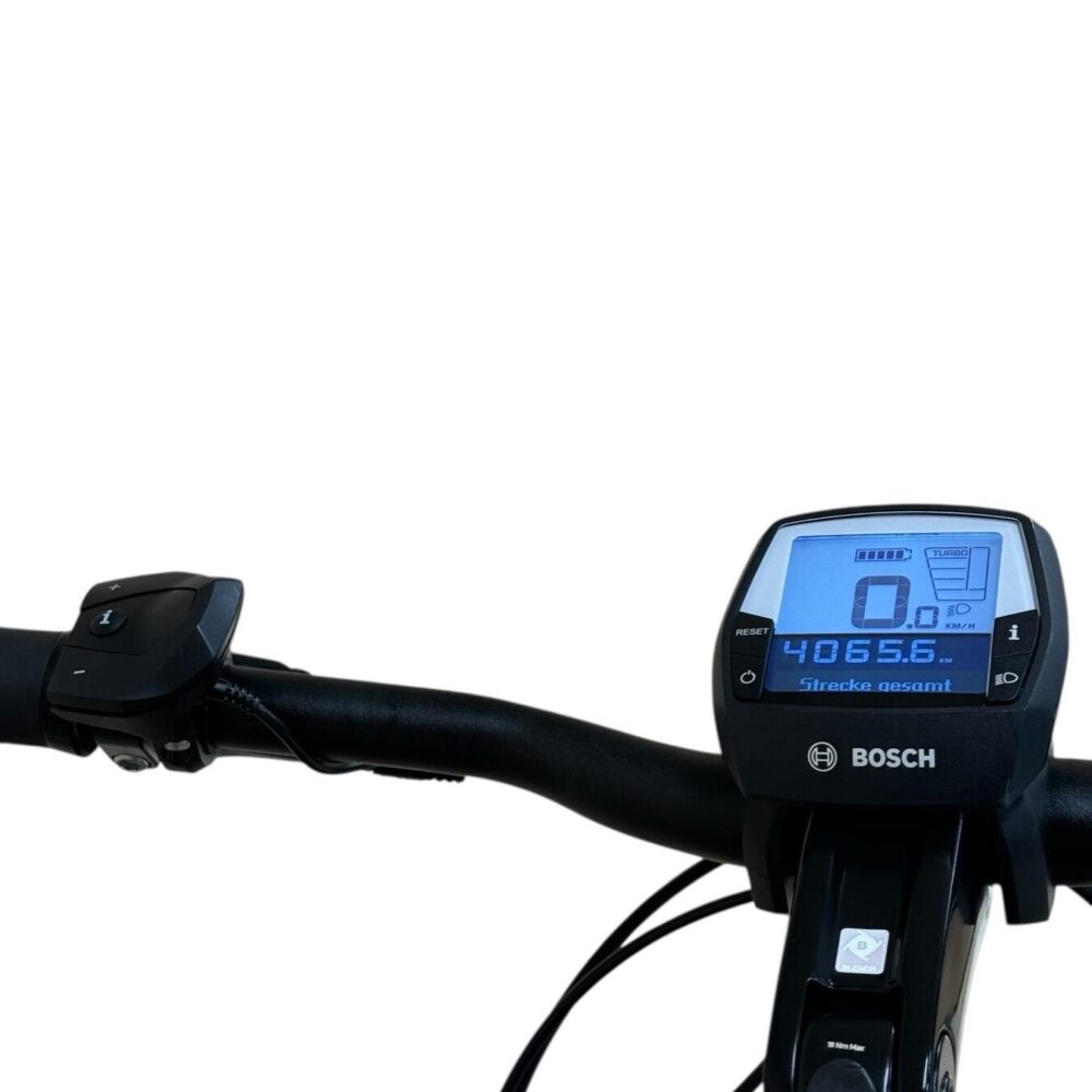 FAFREES F20 Mate - Vélo Électrique 20" - Pneu Gras Tricycle - Moteur 750W Batterie 48V/21Ah - Autonomie 150 km - 3 Freins, Gris