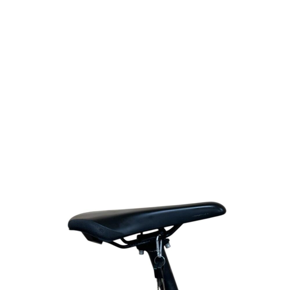 Vélo Électrique DUOTTS C29 - 48V/15Ah - 21 vitesse SHIMANO - Roue 29*2.1’’ - 50km d'autonomie -Avec App