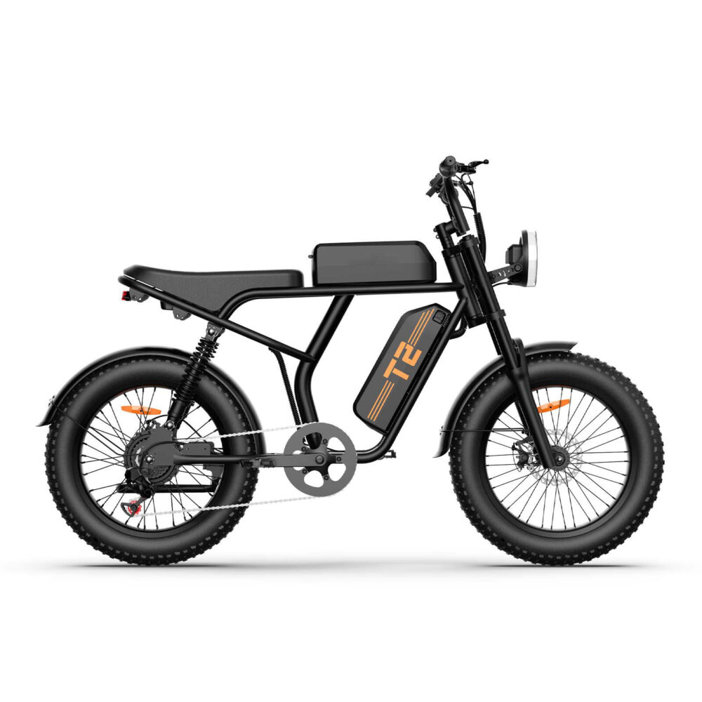 Vélo électrique URLIFE T2, moteur 250 W, batterie 48 V 15,6 Ah