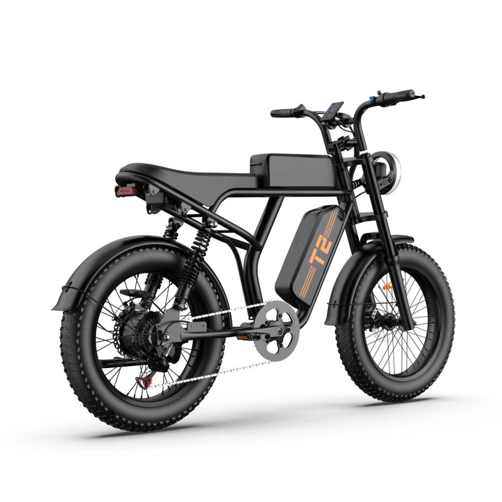 FAFREES F20 Mate - Vélo Électrique 20" - Pneu Gras Tricycle - Moteur 750W Batterie 48V/21Ah - Autonomie 150 km - 3 Freins, Bleu