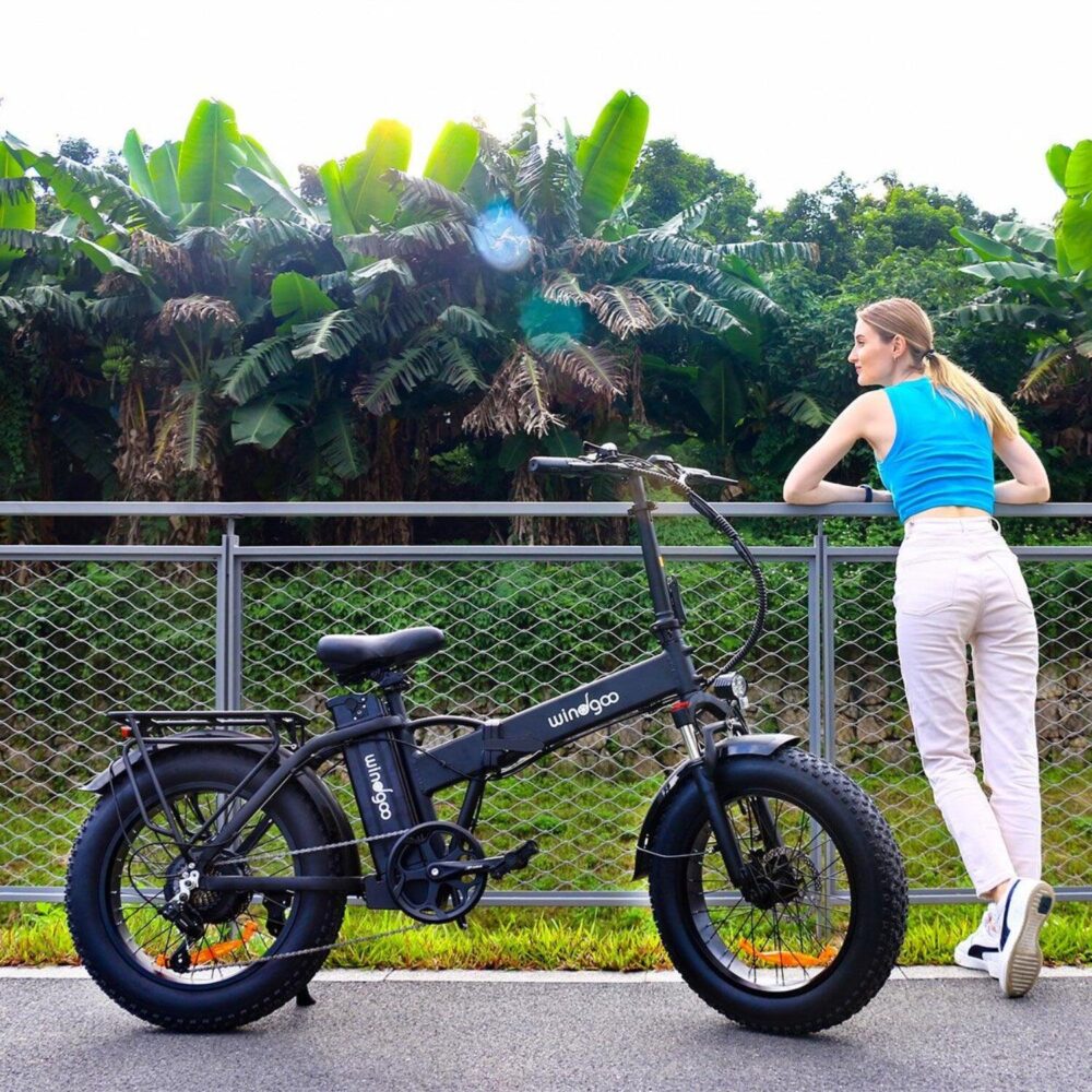 Vélo électrique Pliable Hillmiles MilePort 1 - Autonomie 60km - Moteur 250W - Batterie 36V13Ah - Pneus 20 pouces - VTC Bike - Noir