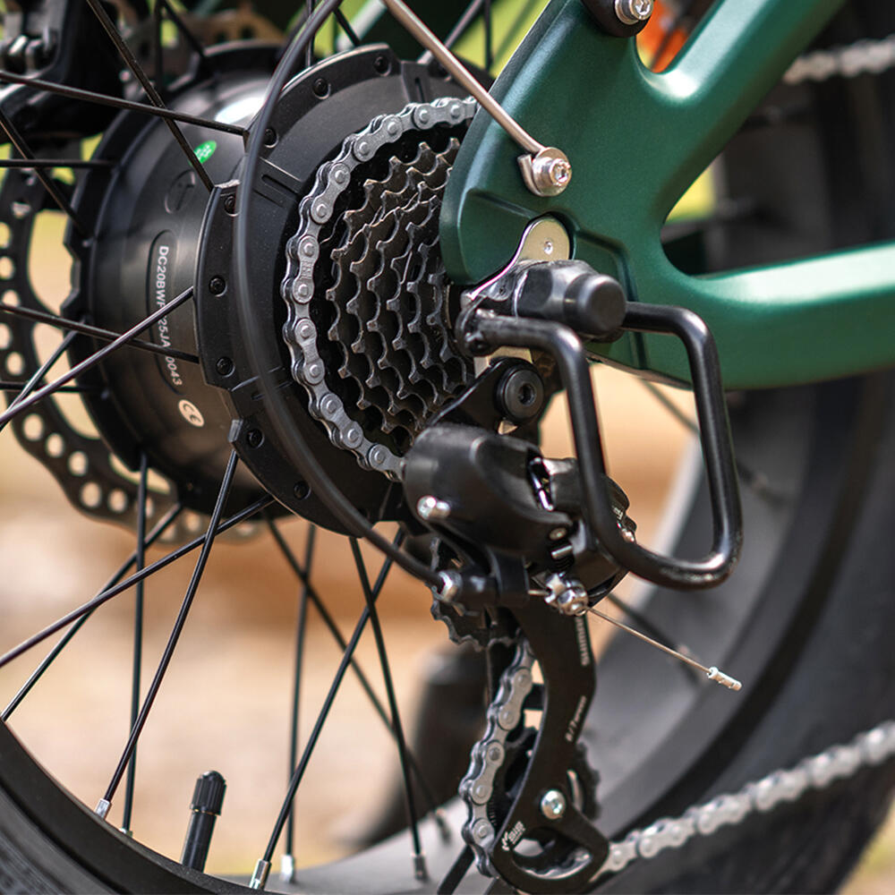 TTGO Vélo Électrique 26" - Moteur 250W Puissant, Batterie 36V 14.5Ah Amovible, 80km d’Autonomie, 6 Vitesses Shimano