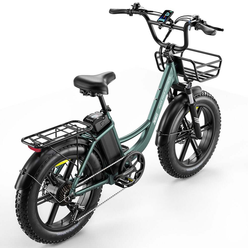Vélo électrique ZWheel Urban Pioneer, 250W, 55 Nm, 13Ah, 100 km, vert