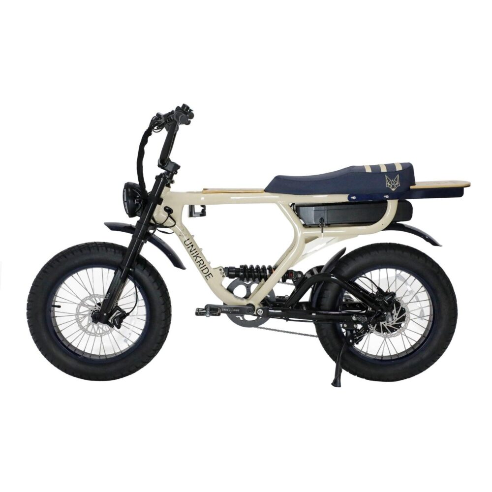 Fatbike Électrique Biplace Cargo - Fatstreet Limited Xtrail