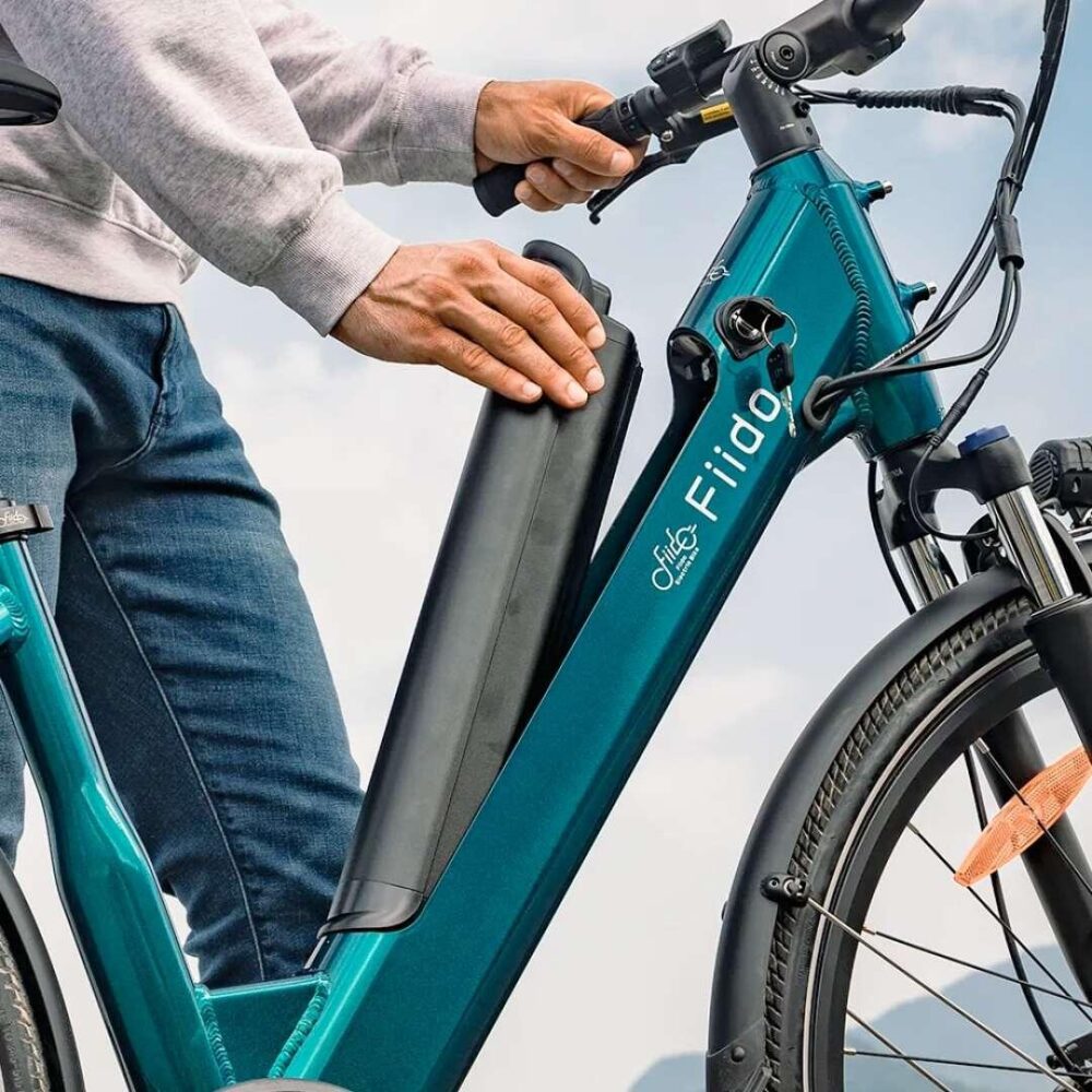 Second Life - Vélo électrique urbain vert Fiido C11