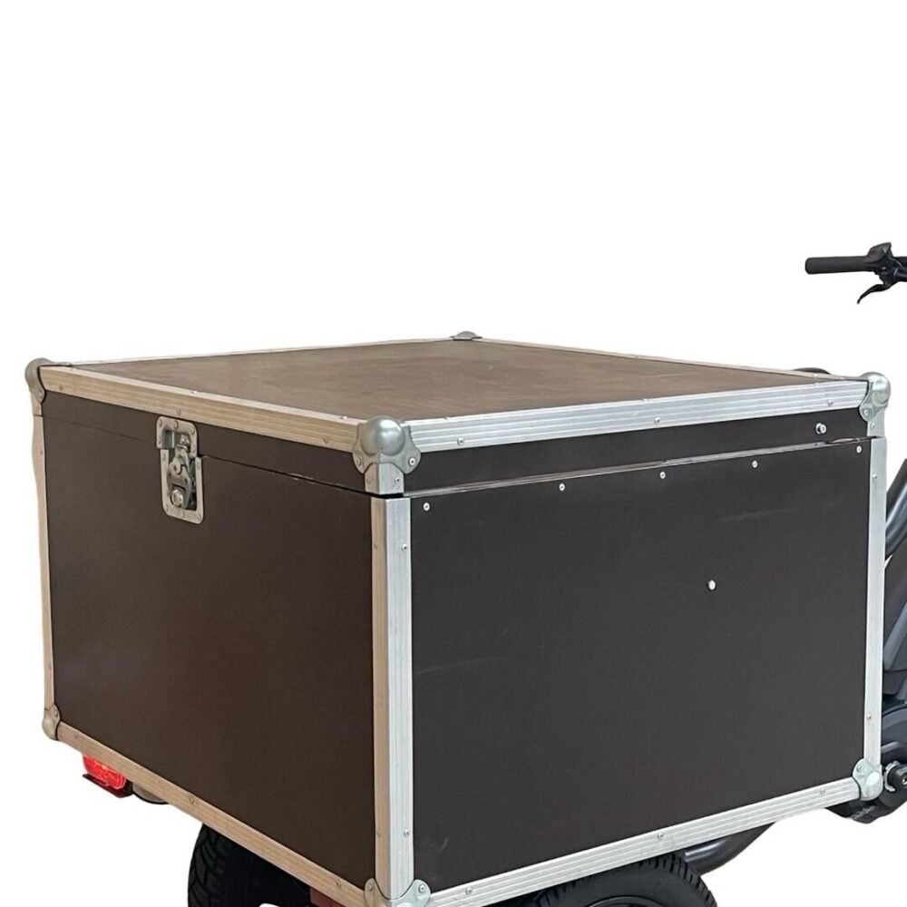 F.LLI SCHIANO Vélo de ville 26'' aluminium 10.4 ah Blanc