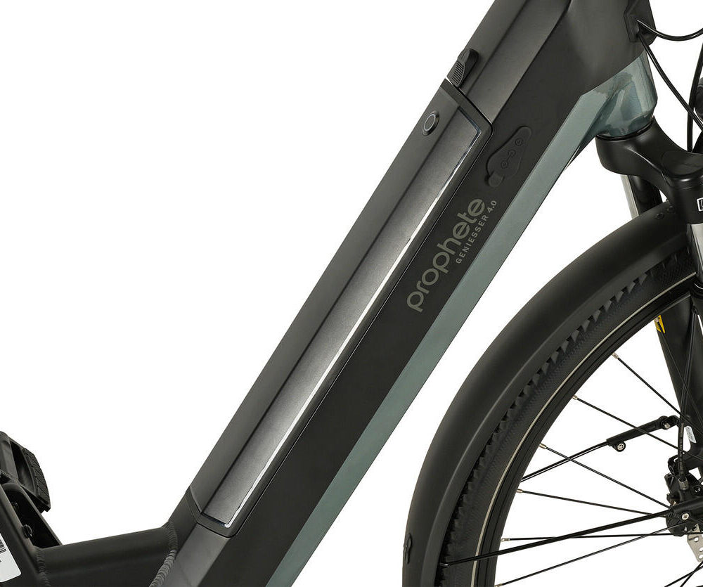 PROPHETE E-Bike Genießer 4.0 28" Wave RH48