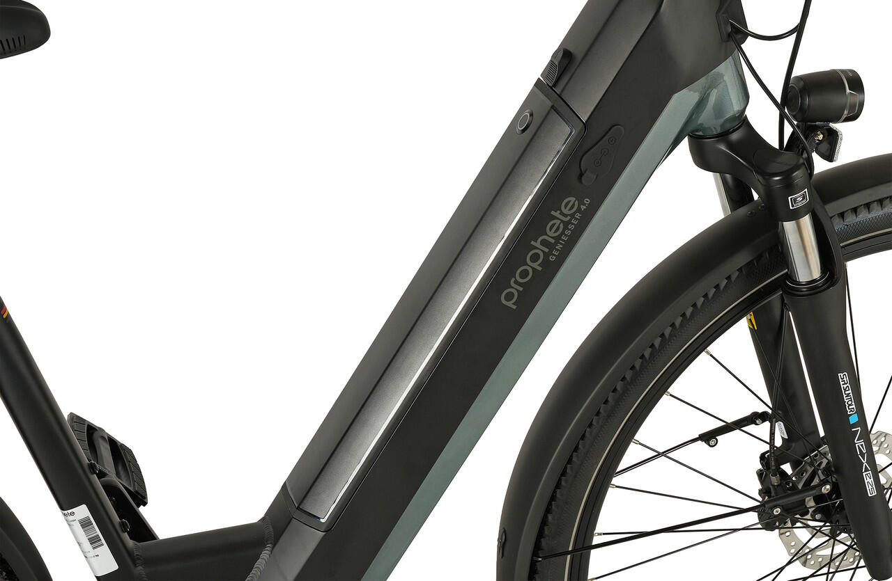 PROPHETE E-Bike Genießer 4.0 28" Wave RH48