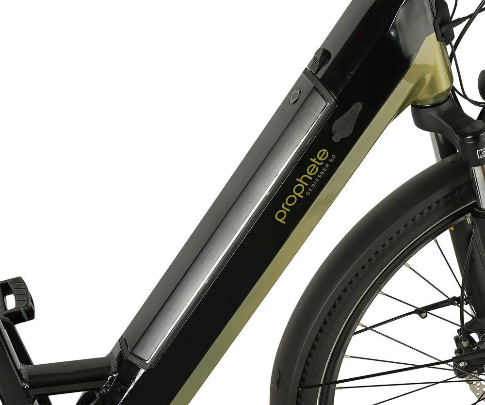 Prophete E-Bike Geniesser 6.0 28" Wave RH48