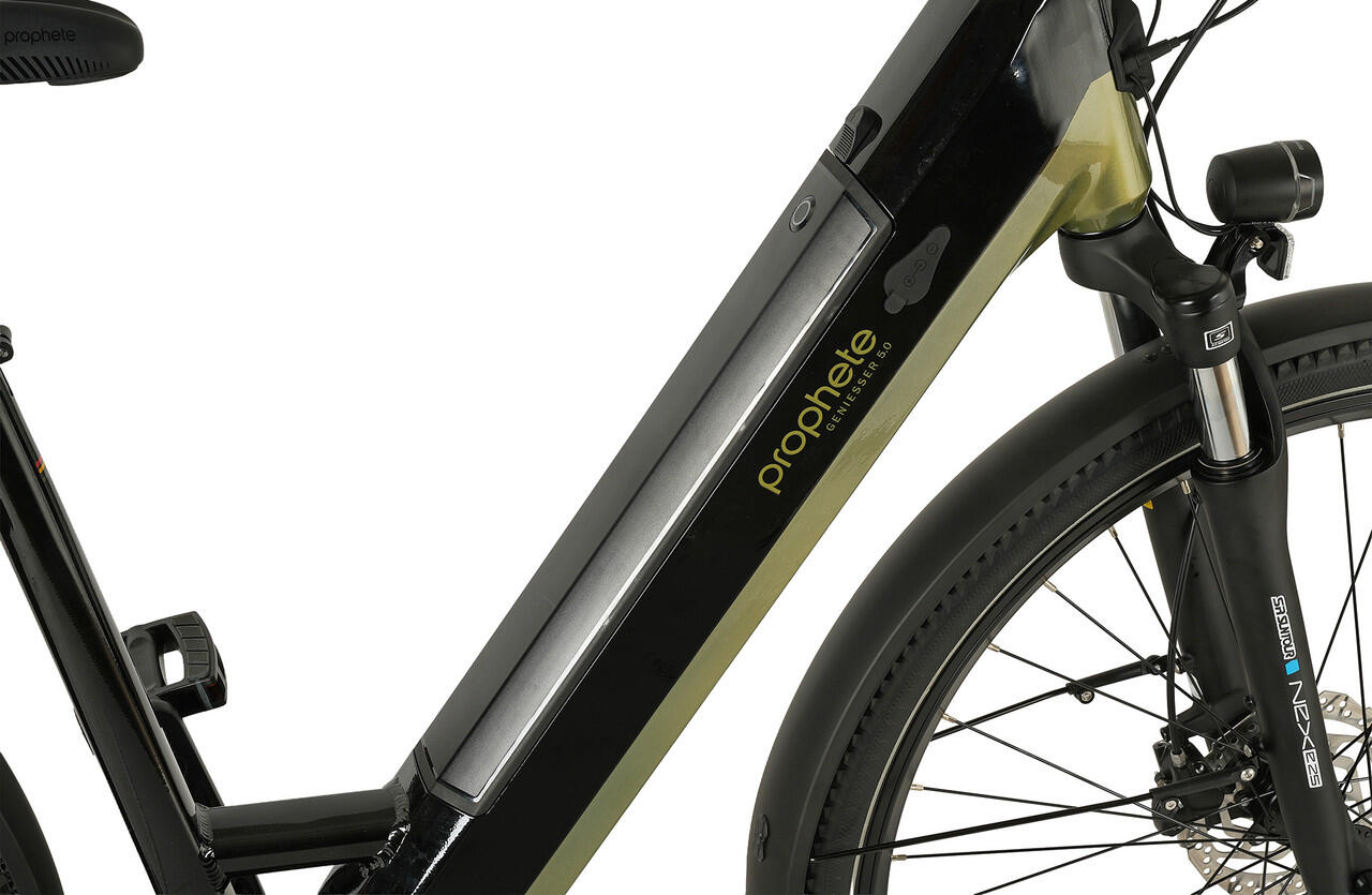 Prophete E-Bike Geniesser 6.0 28" Wave RH48