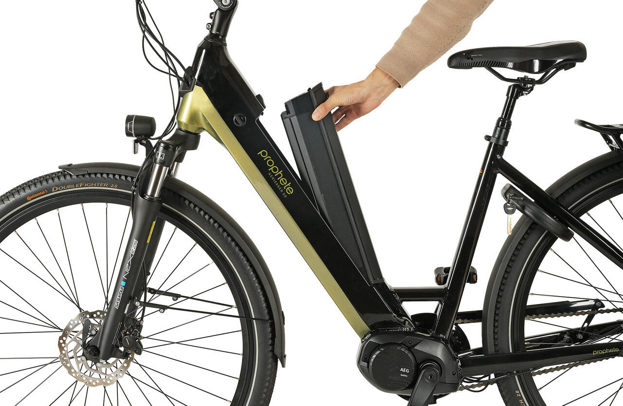 Prophete E-Bike Geniesser 6.0 28" Wave RH48 – Image 2