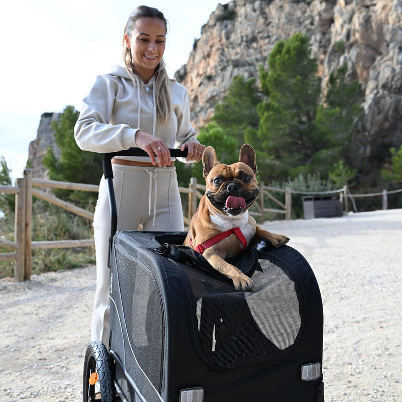 COLORWAY Vélo électrique Pliable 20"*3.0 Gros Pneus, Batterie 36V 12Ah, E-BIKE pliant, Blanc +HITWAY panier arrière