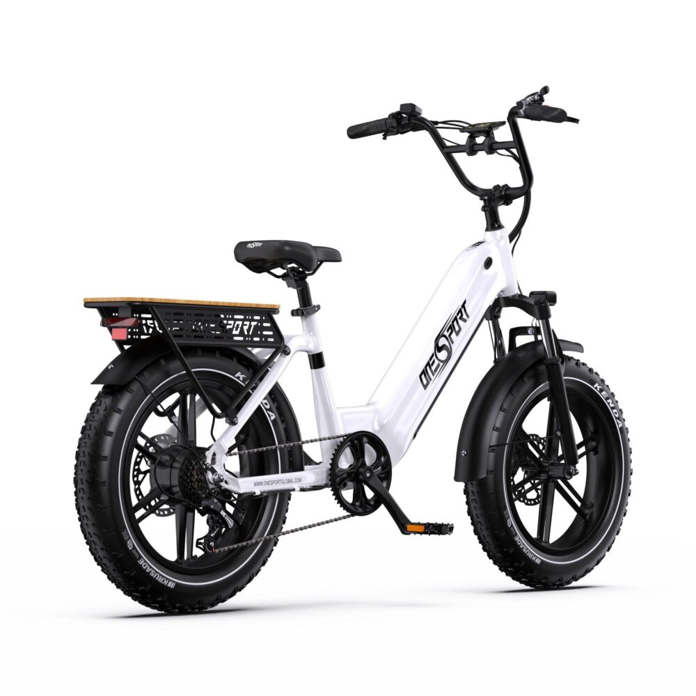 Fat folding 20" fourche aluminium à suspension 12.5 ah LCD Noir