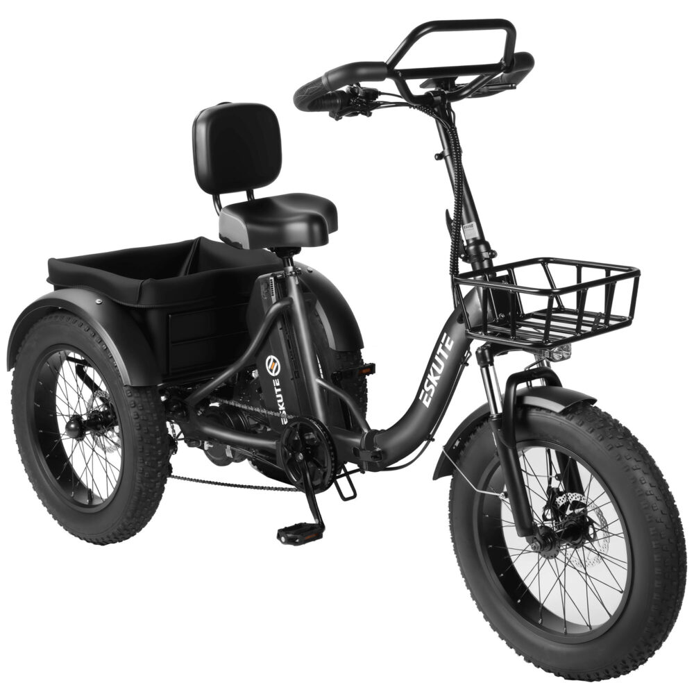 Tricycle cargo électrique ESKUTE T302 Pro, batterie 48 V 20,8 Ah