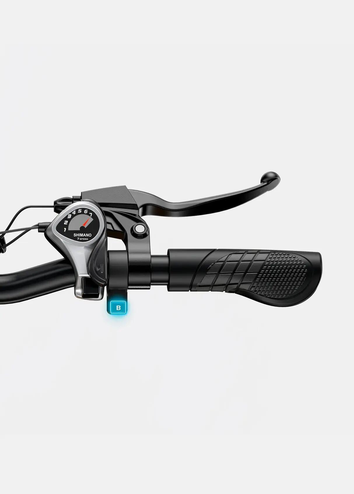 Vélo électrique pliable ENGWE EP-2 BOOST 250 W, pneus larges 20 x 4,0 – Image 2
