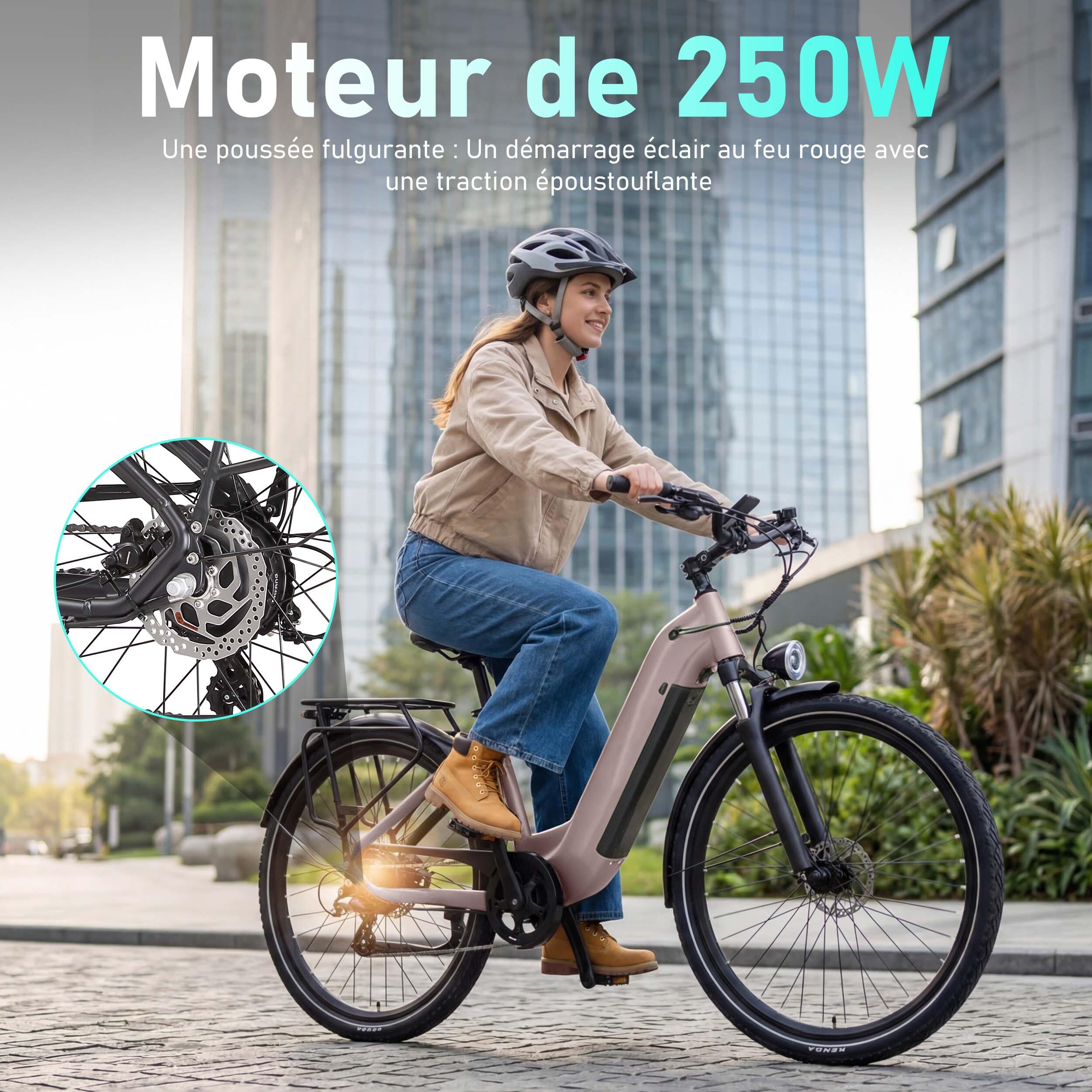 Vélo électrique Maxtron Marathon, 36V 22,5AH, freins à disque hydrauliques. – Image 3