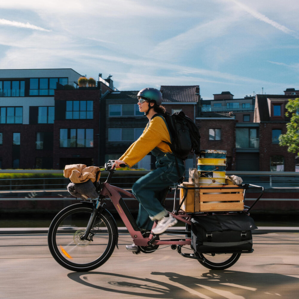 Velo cargo électrique longtail, E-three 500 rose taupe