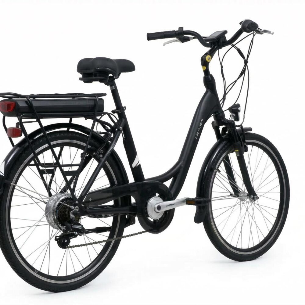 Vélo de ville Denver E200 24" noir Everyway