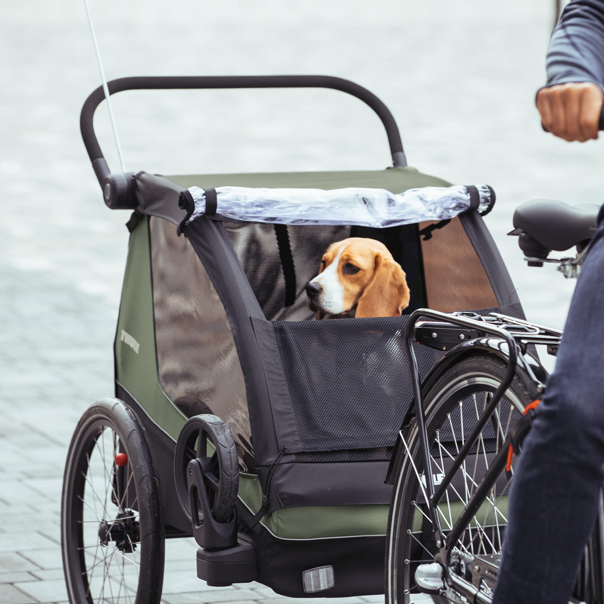 Eovolt Vélo Électrique Pliable Après-Midi 20 Origines V3 Noir – Image 3