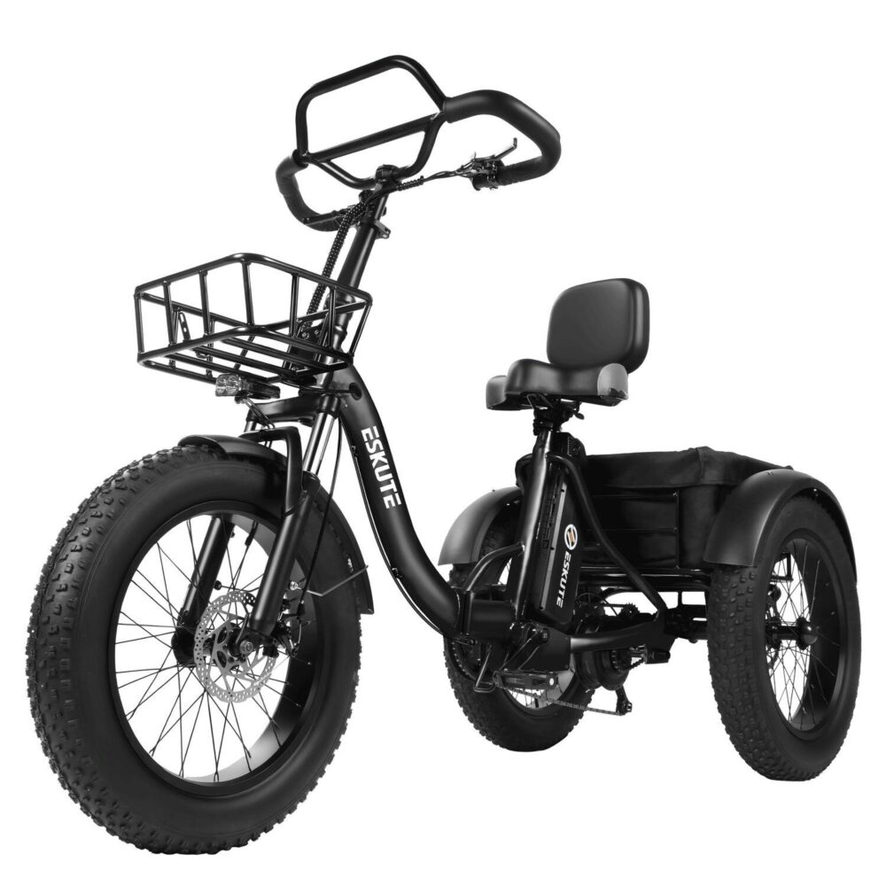 ESKUTE T302 Pro Vélo électrique 250W 48V 20.8Ah 20'' Noir