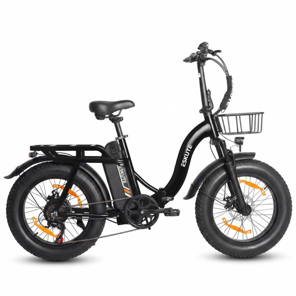 ESKUTE D202 Vélo électrique 250W 48V20.8Ah 20" Noir